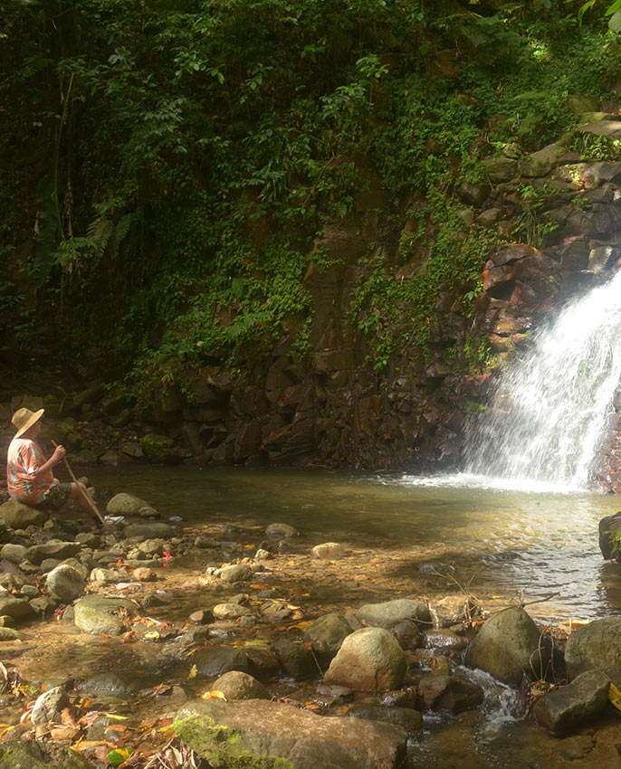 Enbas Saut Falls Hike