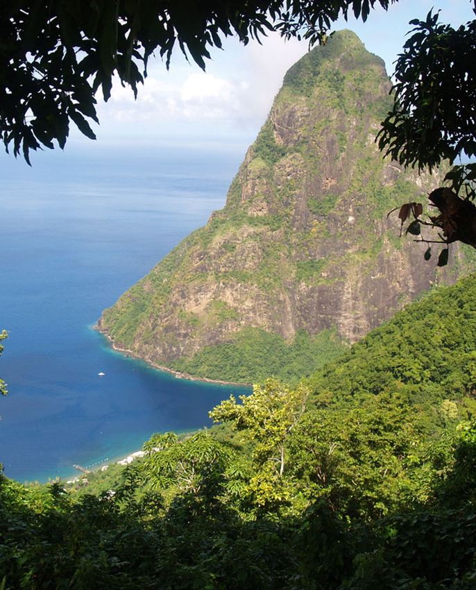  Climb the Pitons: Gros Piton Nature Trail